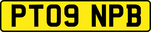 PT09NPB