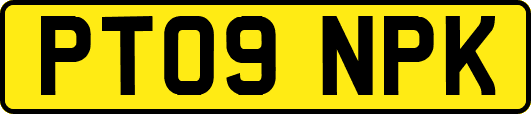 PT09NPK