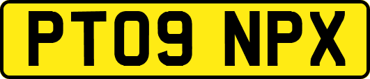 PT09NPX
