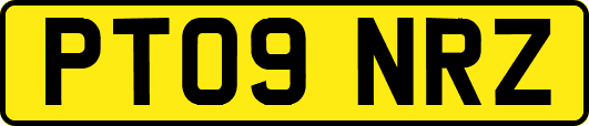 PT09NRZ