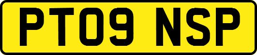PT09NSP