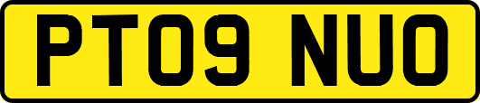 PT09NUO