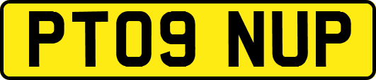 PT09NUP