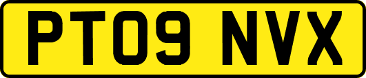 PT09NVX