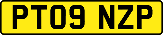 PT09NZP