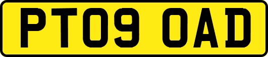 PT09OAD