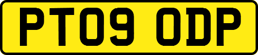 PT09ODP