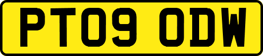 PT09ODW
