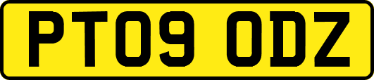 PT09ODZ