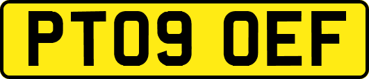 PT09OEF
