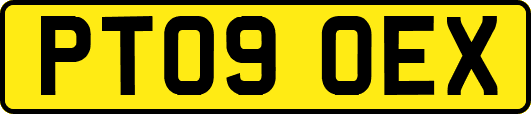 PT09OEX