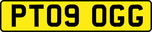 PT09OGG
