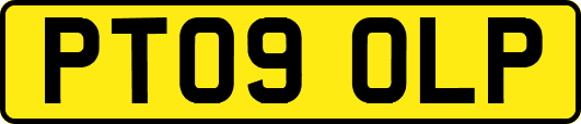 PT09OLP