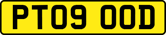 PT09OOD