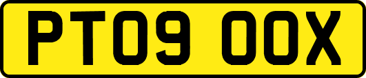 PT09OOX
