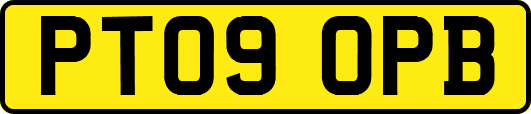 PT09OPB