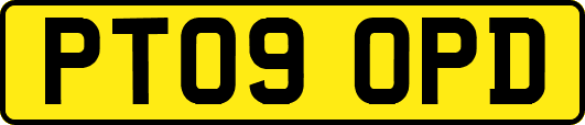 PT09OPD