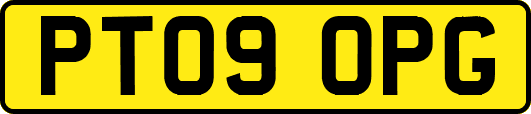 PT09OPG