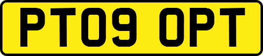 PT09OPT