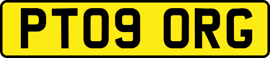 PT09ORG