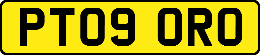 PT09ORO