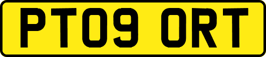 PT09ORT