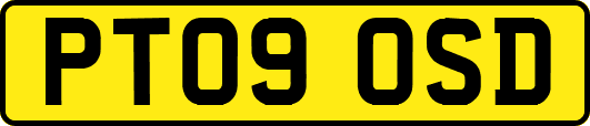 PT09OSD