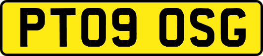 PT09OSG