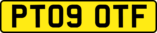 PT09OTF