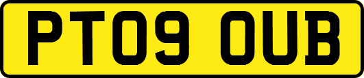 PT09OUB
