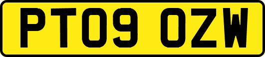 PT09OZW