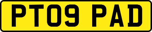 PT09PAD