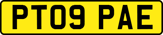 PT09PAE