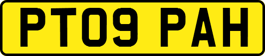 PT09PAH