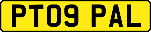 PT09PAL