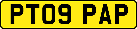 PT09PAP