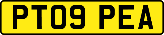 PT09PEA