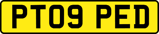 PT09PED