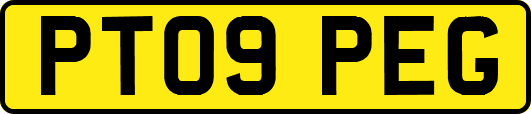 PT09PEG