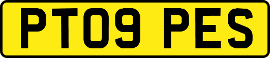 PT09PES