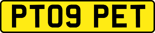 PT09PET