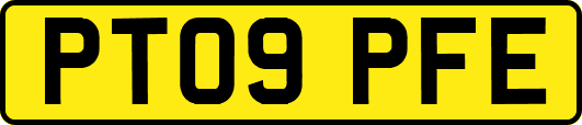 PT09PFE