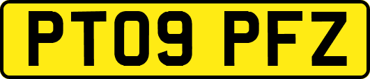 PT09PFZ