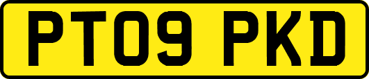 PT09PKD