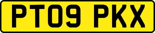 PT09PKX