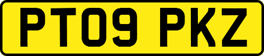 PT09PKZ