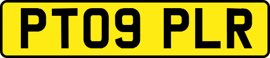 PT09PLR