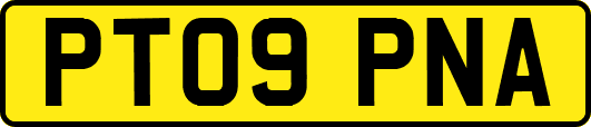 PT09PNA