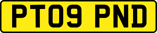 PT09PND