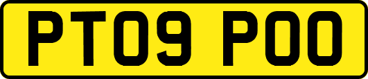 PT09POO